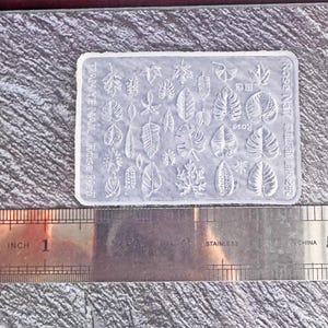 May include: A clear, rectangular nail art stamp with various leaf designs. The stamp is next to a stainless steel ruler showing inches. The text "TIAN YE NAIL Rose Nail" is printed on the stamp.