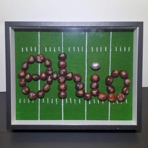 Könnte beinhalten: Ein gerahmtes Kunstwerk mit dem Wort "Ohio", das aus braunen Rosskastanien auf einem grünen Footballfeld-Hintergrund gebildet wird. Ein silberner Football ist ebenfalls vorhanden. Der Rahmen ist schwarz.