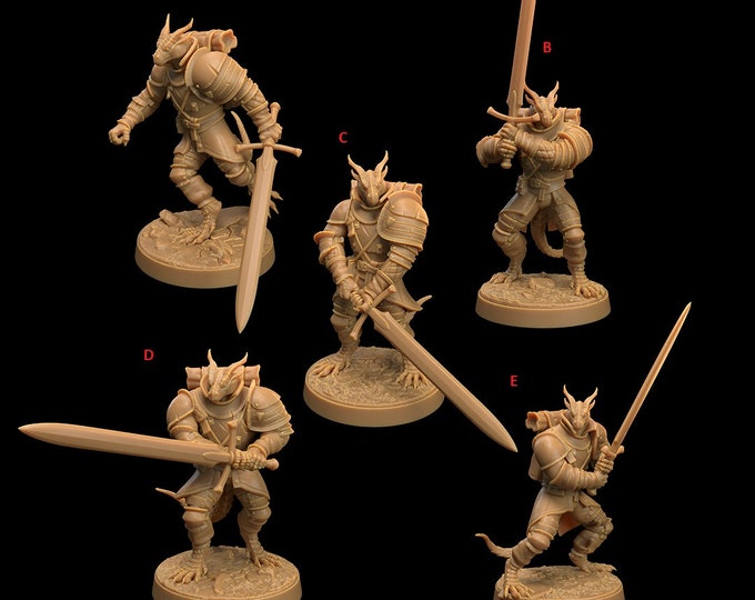 The Dragon's War|  Children of the Flame|  Draxi Soldiers|  the Dragon Trappers Lodge|