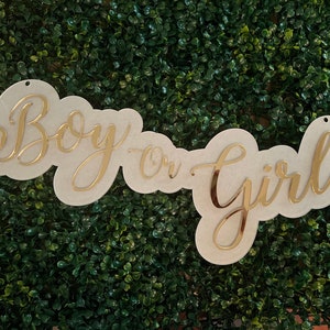 Gender Reveal Decorations, Acrylic Boy or Girl Sign, Gender Reveal Party Decorations, Gender Reveal Backdrop Sign, Gender Reveal Ornament