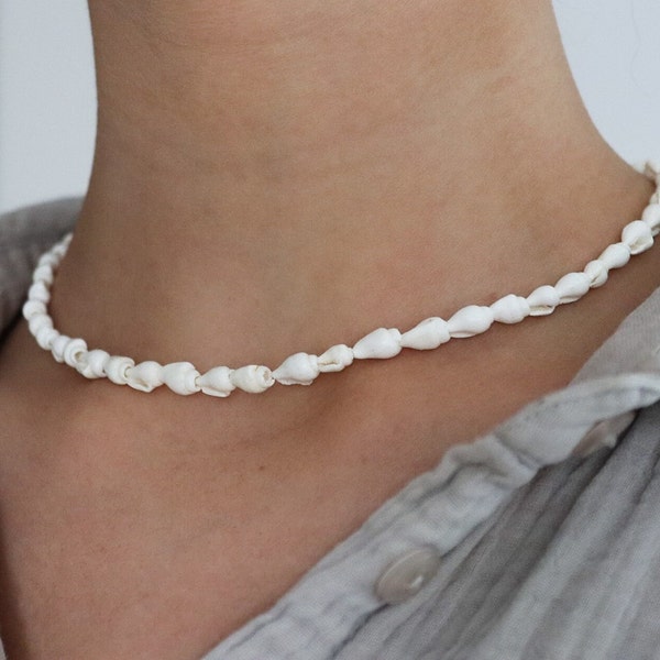 small shells - zarte Kette / Choker aus echten Wellhorn Muscheln - Edelstahlverschluss  - handgemacht - das perfekte individuelle Geschenk