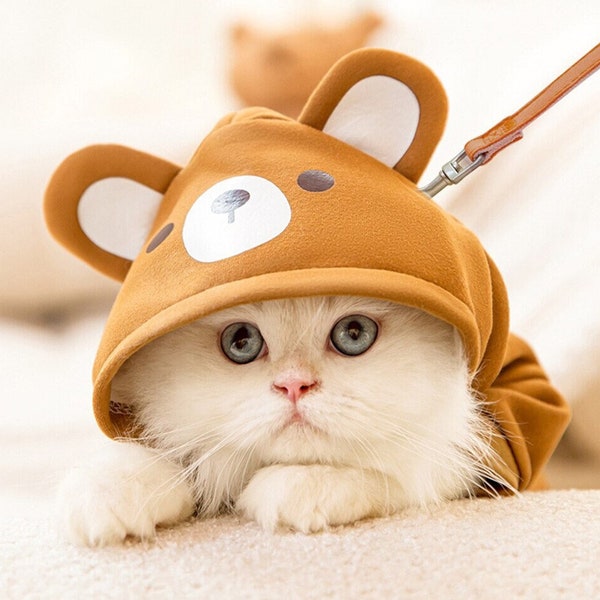 Teddy Bear kitty clothes,cat cute kawaii clothes custom