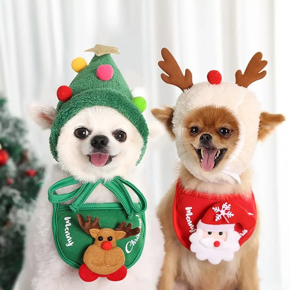 Christmas coats shop for dogs