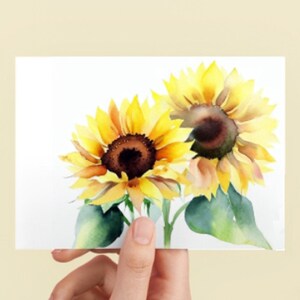 Girassóis - Cartões - Um ou Pacote com 10 Cartões de Felicitações