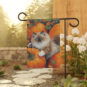 Puede incluir: Una bandera de jardín rectangular que muestra un gato esponjoso marrón y blanco descansando entre varias calabazas naranjas grandes y hojas de otoño coloridas. El gato tiene ojos azules y patas blancas sobre un fondo oscuro y texturizado.
