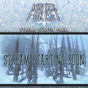 TWITCH Animated Stream Screens - WINTER FOREST Scene - Christmas Wintertime Snow - White - Cold Holiday Starting Soon - Youtube - Overlay