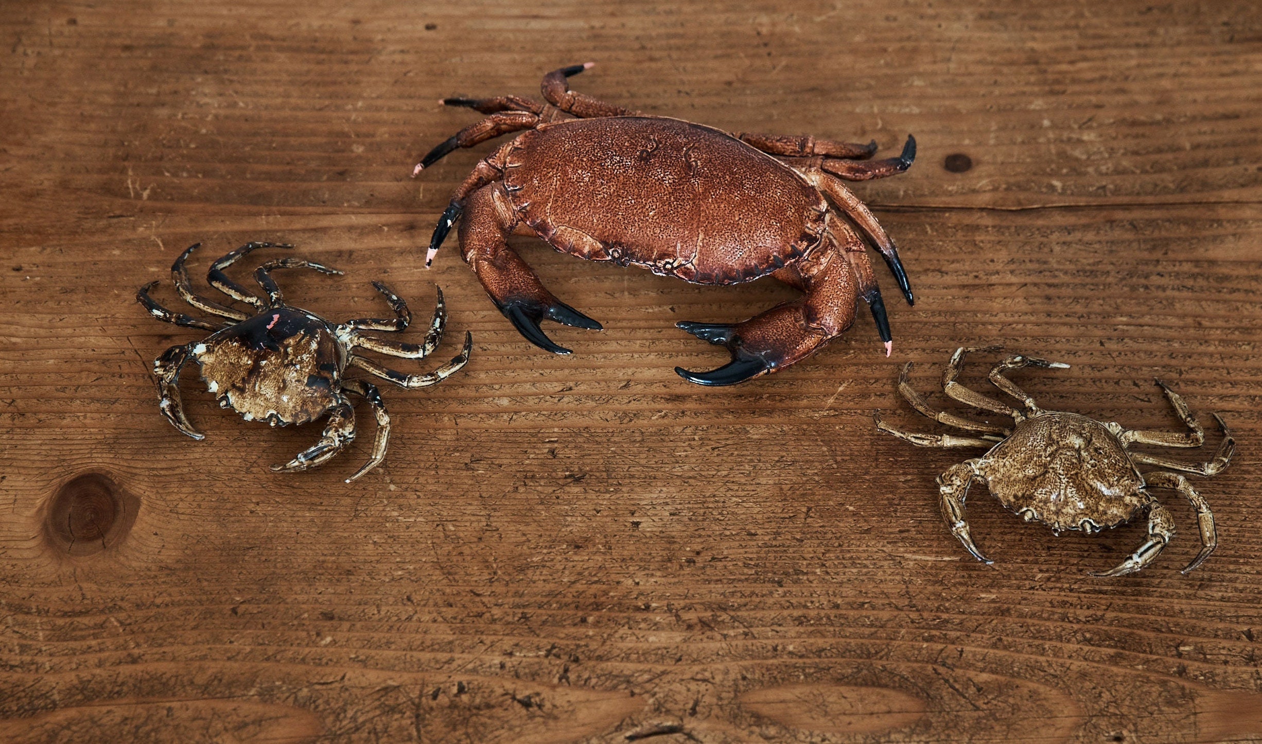 Faux Crabs Vintage Realistic Crabs Made of Hard Plastic Set Etsy