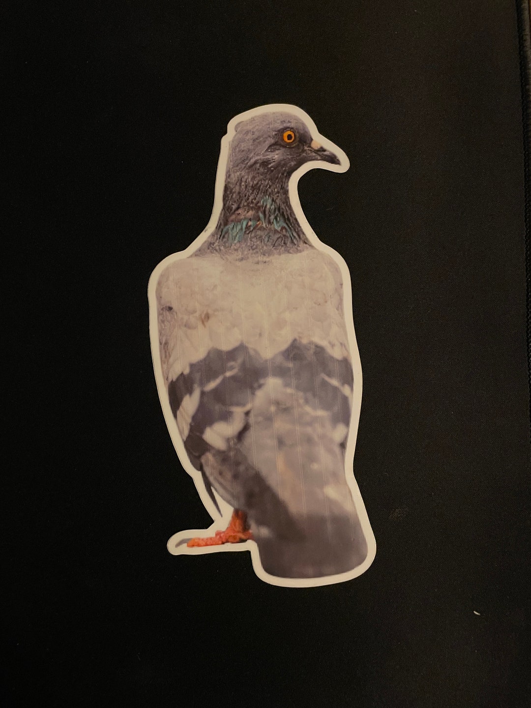 Pigeon Sticker - Etsy