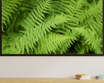 Printable Wall Art  | "Mountain Ferns" | Landscape | Alberta