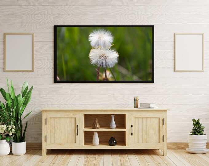 4K+8K Frame TV Art  | "Closeup Flowers" | Landscape | Flowers | Dry | Alberta, Canada