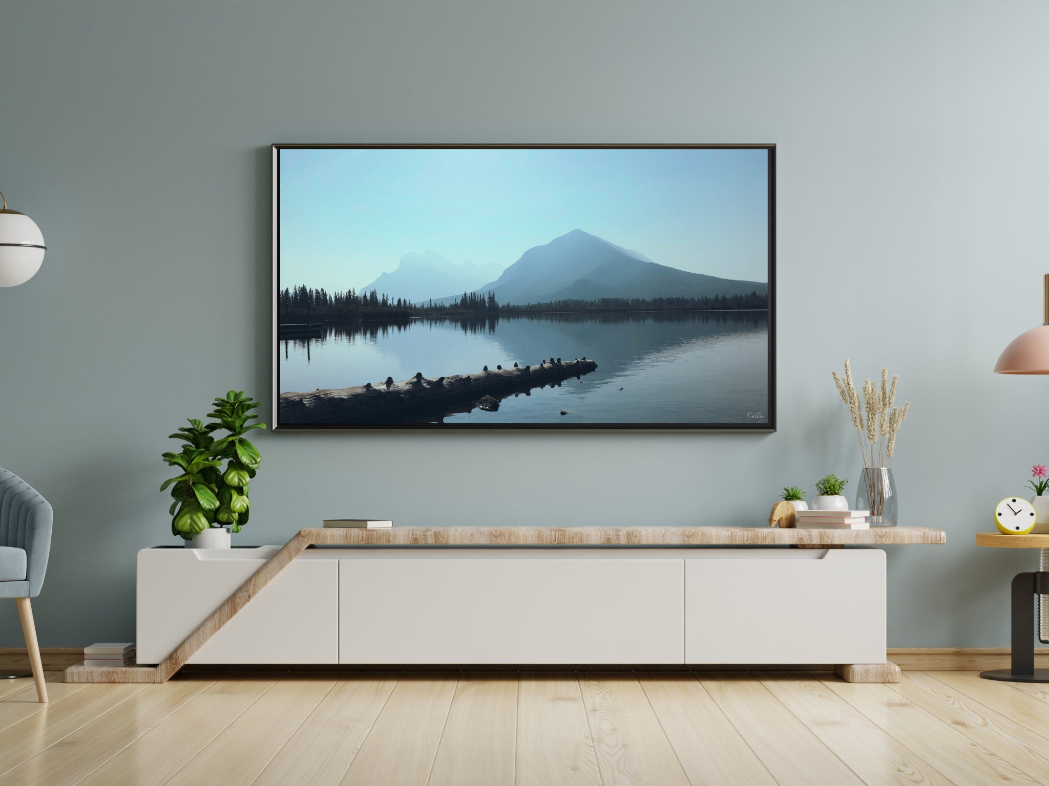 gallery photo