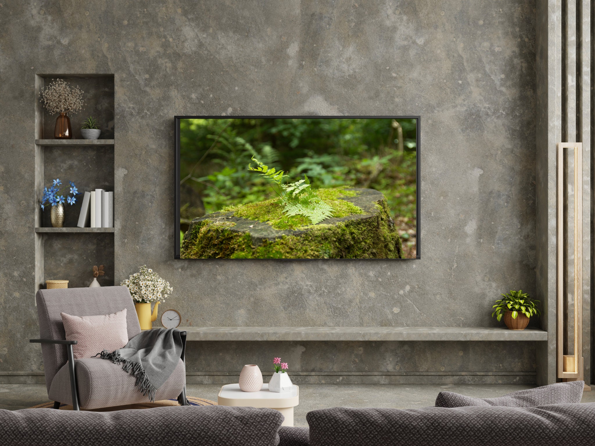 gallery photo