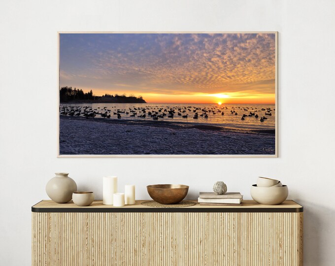 4K+8K Frame TV Art  | "Winter Ducks" | Landscape | Winter | Sunrise | Canada