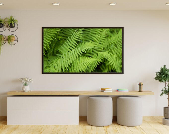 4K+8K Frame TV Art  | "Mountain Ferns" | Landscape | Mountains | Ferns | Alberta, Canada