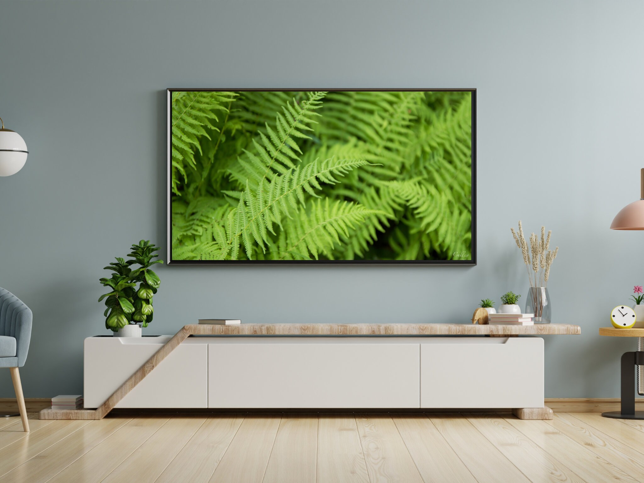 gallery photo
