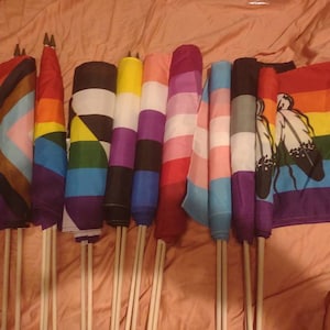 Handheld Pride Flags: Rainbow, Trans, 2Spirit & More (12x18 inch)