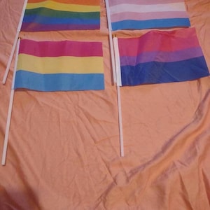 Pride Flags: Handheld Rainbow, Transgender, Bisexual, Pansexual (Set of 2)