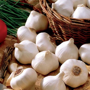 May include: A collection of white garlic bulbs arranged on a surface, with several bulbs placed inside a brown woven wicker basket. Green chives and a portion of a red vegetable are visible on the left side, alongside a wooden handled knife.