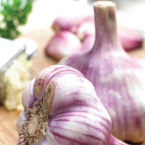 May include: Two whole bulbs of purple-streaked garlic with papery white skin. In the background, there are several loose garlic cloves and a metal garlic press containing crushed garlic, with a small sprig of green parsley visible nearby.