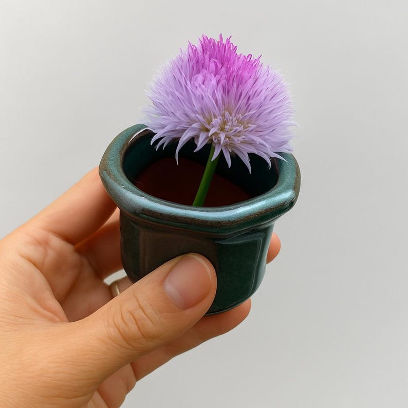 Unique plant pottery, seeding planter, Bonsai pottery, pottery for plants, handmade pottery, Ceramic Planter with drain hole, pack of 3 pots image 7