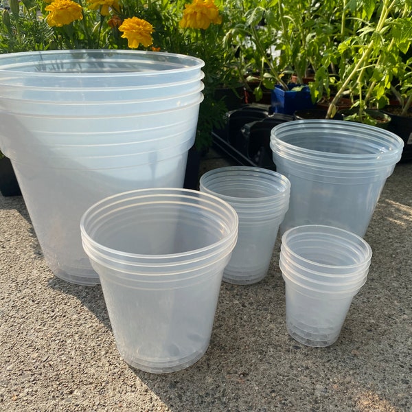 Clear plant pots, Clear plastic plant pots, nursery pots, Clear pot with drainage, orchid pots, Transparent plant pots 2.5in to 10in