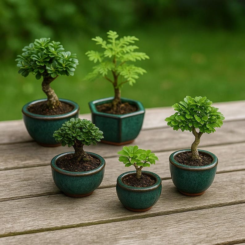 Unique plant pottery, seeding planter, Bonsai pottery, pottery for plants, handmade pottery, Ceramic Planter with drain hole, pack of 3 pots image 4