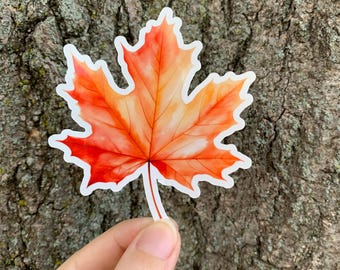 Watercolor October Floral Stickers Fall Flower Cozy Fall Stickers Fall Stickers Autumn Fall Vibes Stickers Fall Is Here Thanksgiving Sticker