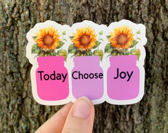 Today Choose Joy Stickers Positivity Stickers Inspiring Stickers Encouraging Stickers Motivational Stickers