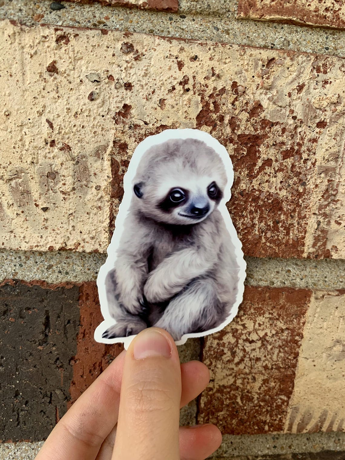 Sloth Cute Baby Animals Watercolor Animals Animal Lover Stickers Baby ...