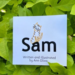Sam Set of 6 books/Small Groups/Intervention/RTI/Special Education/Phonics Books/Funny Phonics/CVC/Decodable/Orton Gillingham