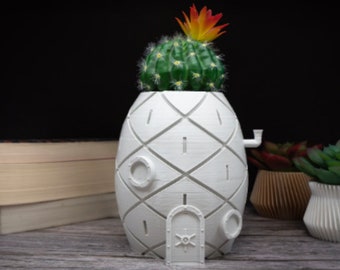 Sponge House Planter | Pineapple Planter | Indoor Gardening | Indoor Planters