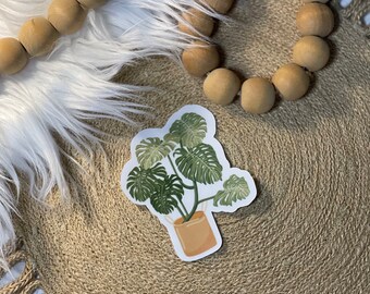 Clear Monstera plant sticker 3.25x2.5