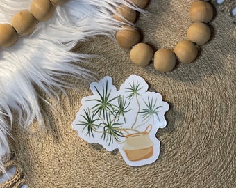 Clear Dracaena plant sticker 3.25x3