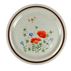 Vintage Haniwa Stoneware Maywood Dinner Plate Poppy Floral Brown Rim 10&quot; Japan