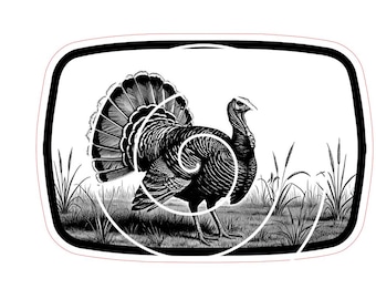 Archivo digital TURKEY STRUT