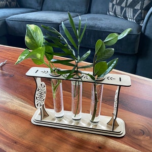 Plant Propagation Station with Cute Wooden Stand – Plant Jars with Plant Propagation Tubes - Premium Handcrafted Glass Planter – Propagation Vase