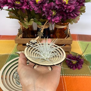 Spiral bowl/basket with floral embellishment Laser cut wood bowl Air Plant holder Digital Download SVG DXF LBRN Laser cut file Glowforge