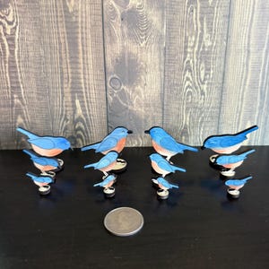 May include: A collection of bluebird magnets with orange chests and black beaks. The magnets are arranged on a black surface, with a coin in the foreground. The background is a wooden panel.