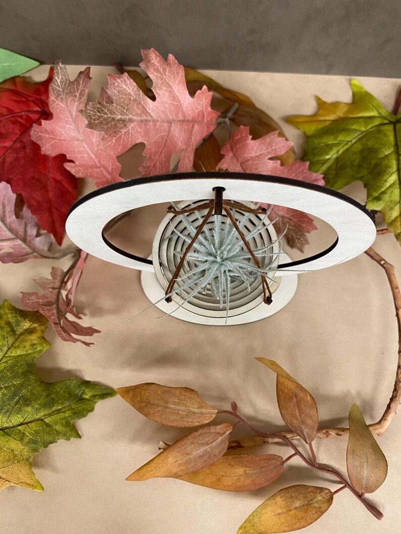 Air Plant Hanger Spiral Bowl/basket Mini Air Plant Holder Laser Cut