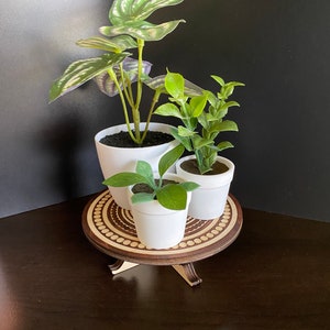 Può includere: Tre piante in vaso su un supporto in legno a più livelli. Le piante sono in vasi bianchi e hanno foglie verdi. Il supporto ha una base in legno marrone e una parte superiore con un motivo bianco.