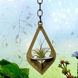 May include: A hanging wooden air plant holder with a teardrop design. The natural wood-toned holder features a geometric pattern and holds a small air plant. The holder is suspended by a chain against a soft, leafy background.