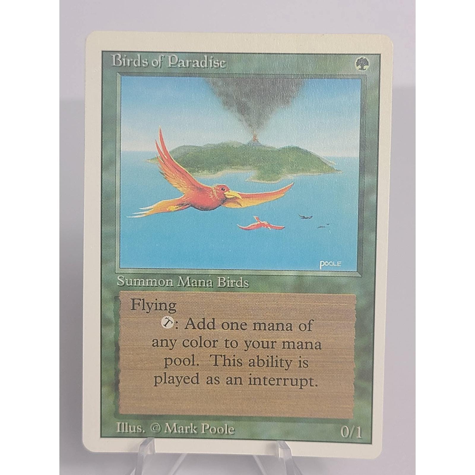 1994 Mtg - Etsy