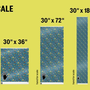 an image describing the scale of each size