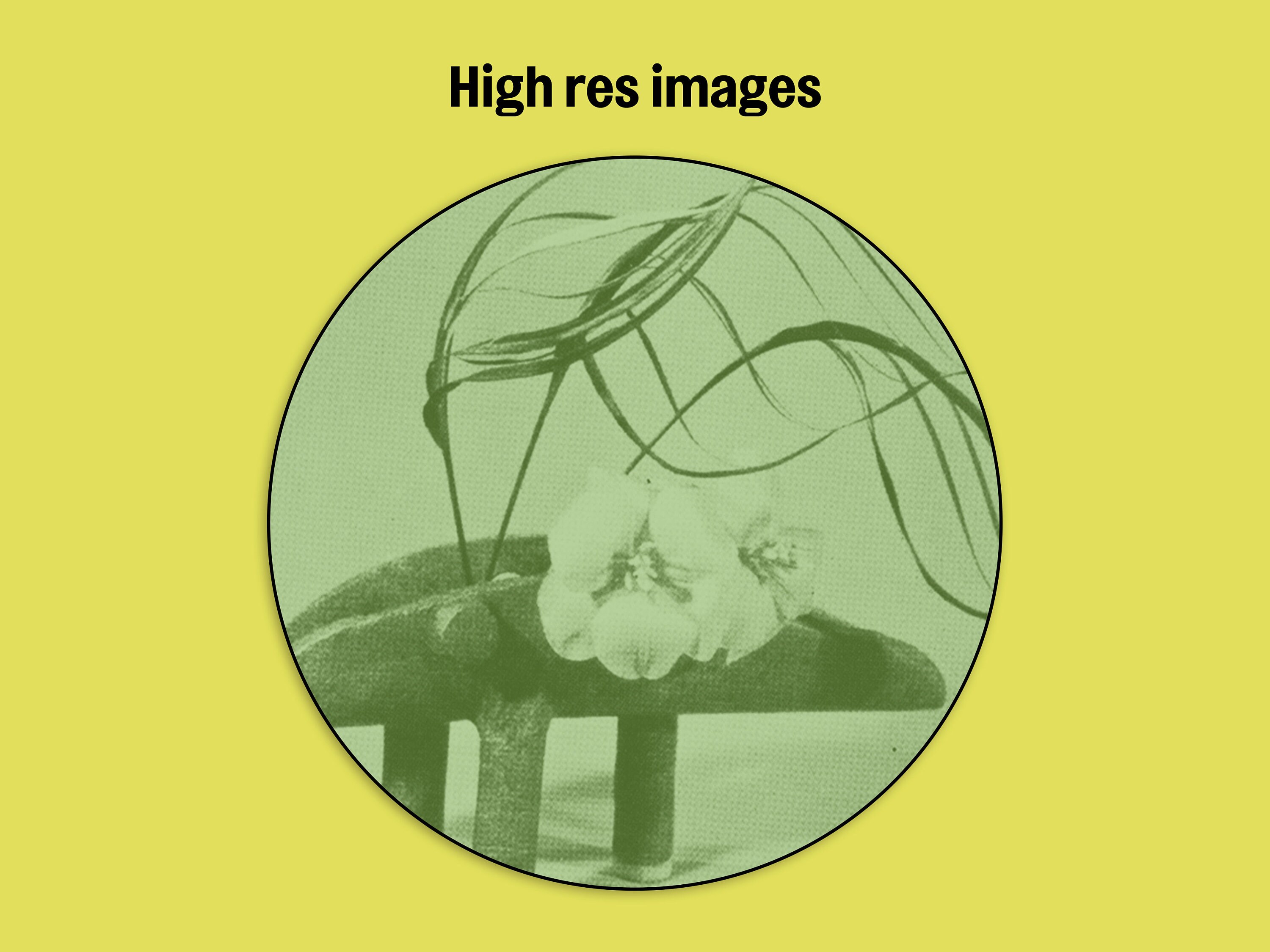 Japanese Wrapping Paper Botanical Wrapping Paper Ikebana Etsy