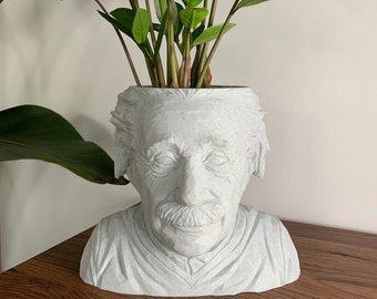 Albert Einstein Planter