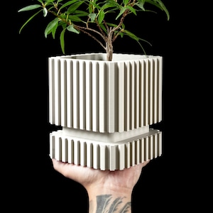 May include: A square, off-white planter with vertical ribbed detailing, holding a small green plant. The planter is held up against a black background. The plant has small green leaves and a brown stem.
