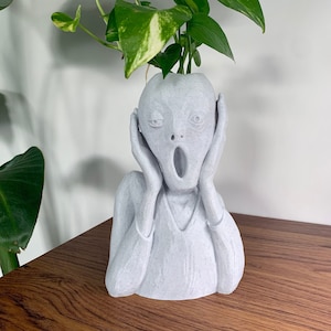 May include: A white ceramic planter shaped like the face of Edvard Munch's "The Scream" painting. A green potted plant is growing out of the top of the planter.