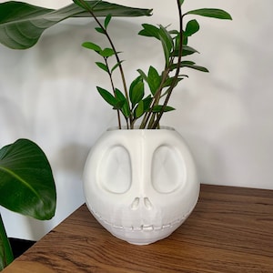Può includere: Un vaso di ceramica bianco a forma di teschio con grandi orbite e una bocca cucita. Il vaso contiene una pianta verde con steli scuri e foglie lucide. Il vaso è appoggiato su una superficie di legno.