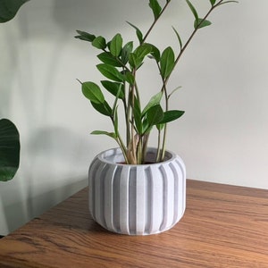 May include: A green houseplant with multiple stems in a white ceramic planter with vertical ridges. The planter is on a wooden surface.