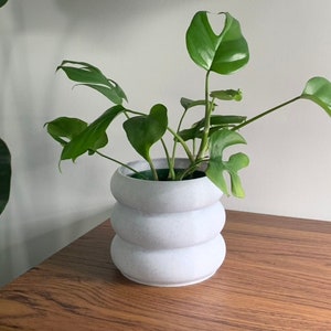 Puede incluir: Una maceta de cerámica blanca con una superficie texturizada y un diseño redondeado y en capas. Una planta verde con hojas grandes está creciendo en la maceta.